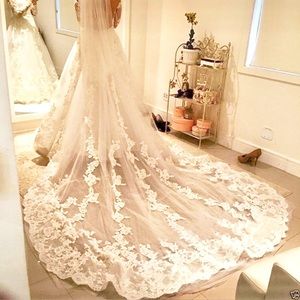 Beautiful Cathedral length white lace veil